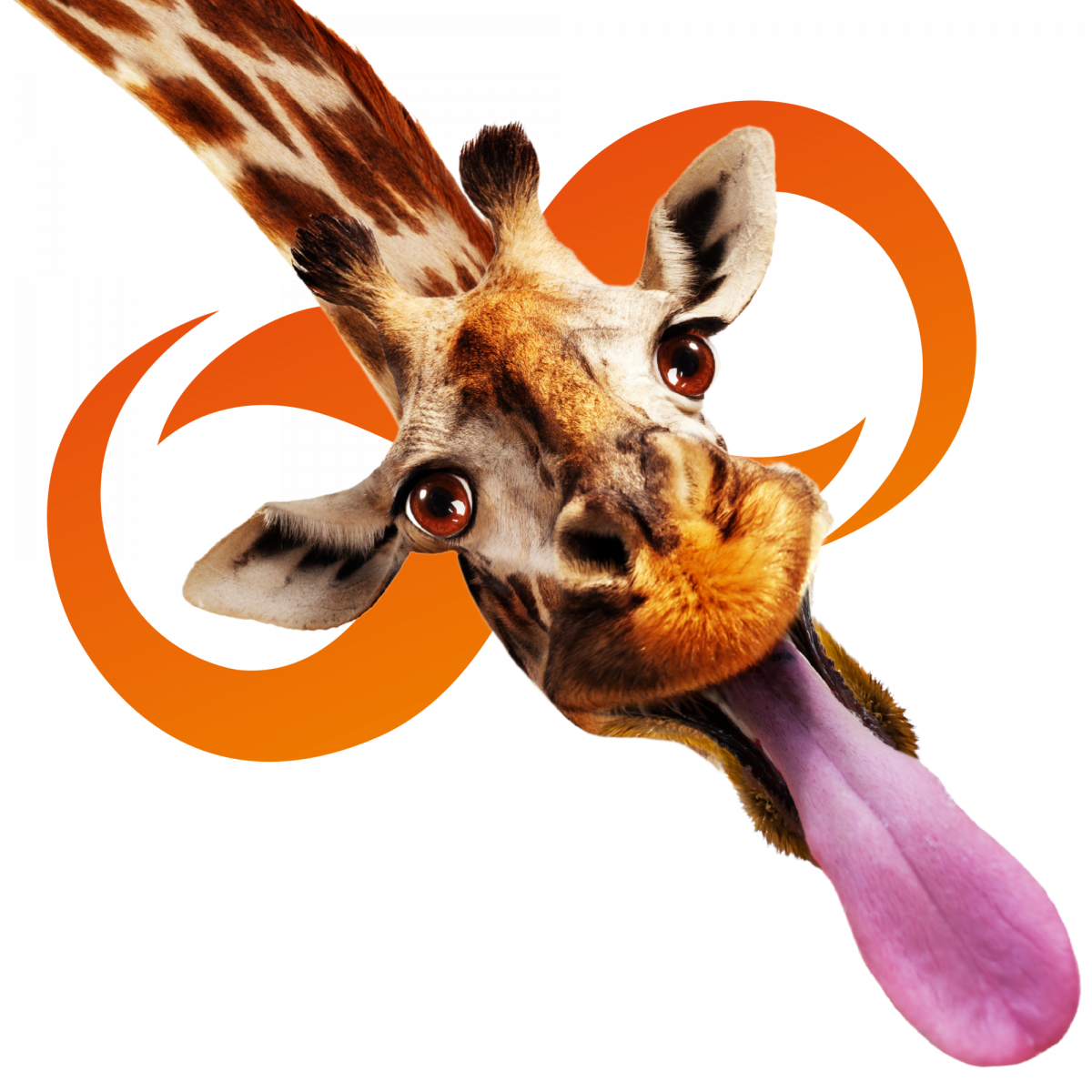 eXpo eXpert beeldmerk Giraffe